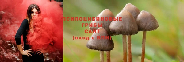 МДМА Рославль